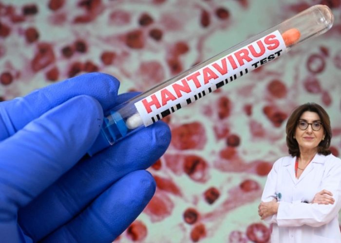 Riskli Alanlarda Toz Solumak Hantavirüs Tehlikesini Artırıyor