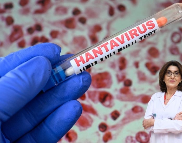 Riskli Alanlarda Toz Solumak Hantavirüs Tehlikesini Artırıyor