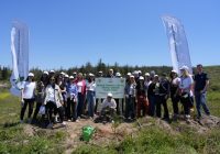Nestlé Türkiye’den 12 Bin Fidanlık Hatıra Ormanı