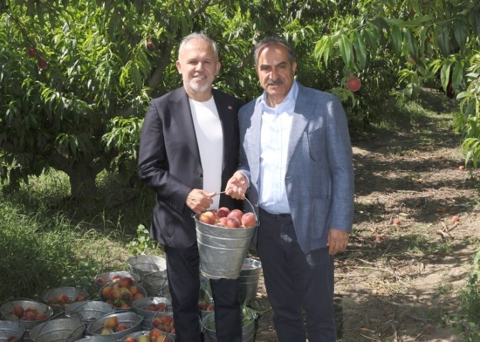 Türkiye Şeftali ve Nektarinde 250 Milyon Dolar İhracat Hedefliyor