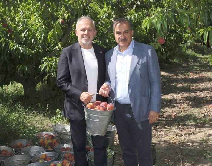 Türkiye Şeftali ve Nektarinde 250 Milyon Dolar İhracat Hedefliyor
