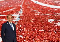 AB ve Mısır Kotaları Sektörün Önünde Engel
