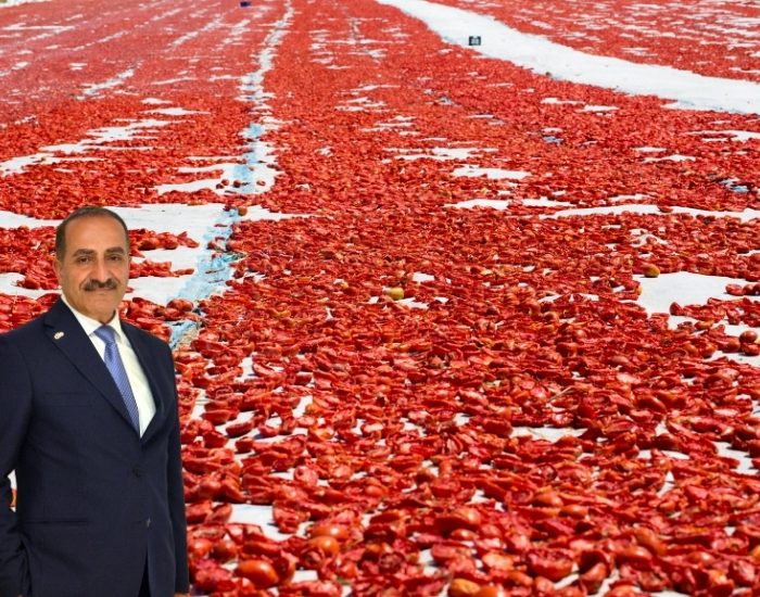 AB ve Mısır Kotaları Sektörün Önünde Engel