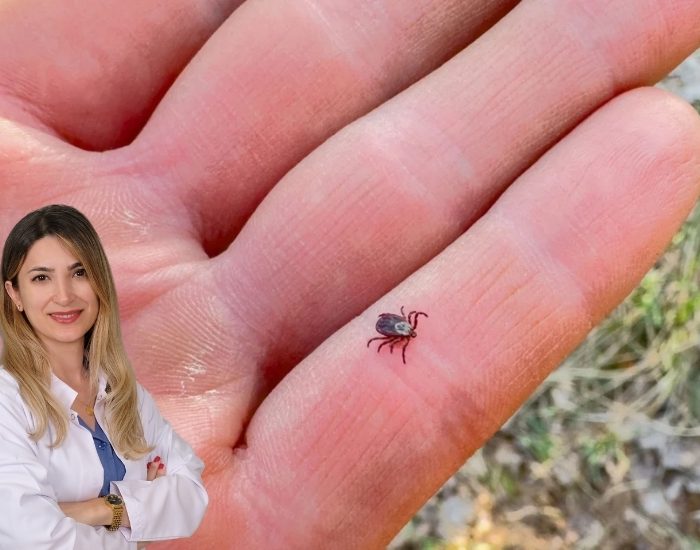 Yazın Doğa Keyfiniz Kabusa Dönüşmesin: Keneye Dikkat!