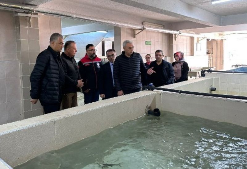 Türkiye Su Ürünlerinde Rekor Üretim ve İhracat Başarısı