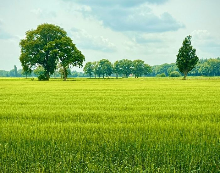 Pluxee Türkiye, ISO 14001 sertifikasıyla çevresel yönetimde yeni adım attı